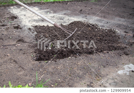 Loosening the soil with a rake and deoxidizing the soil with dolomite flour in the garden in spring, close-up. Copy space for text, neutralizing soil Loosening the soil with a rake and deoxidizing the soil with dolomite flour in the garden in spring, close-up. Copy space for text, neutralizing soil 129909954