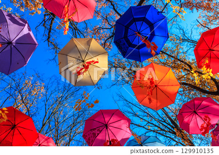 Multicolored umbrellas on the autumn park. Colorful umbrellas hanging among trees in the fall 129910135