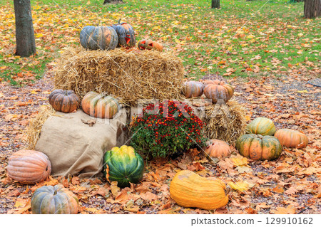 Decorative composition of the pumpkins with colorful leaves. Fall, Thanksgiving and Halloween celebration concept Decorative composition of the pumpkins with colorful leaves. Fall, Thanksgiving and Halloween celebration concept 129910162