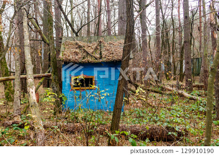 Abandoned children's playground in the ghost town Pripyat in Chernobyl Exclusion Zone, Ukraine Abandoned children's playground in the ghost town Pripyat in Chernobyl Exclusion Zone, Ukraine 129910190