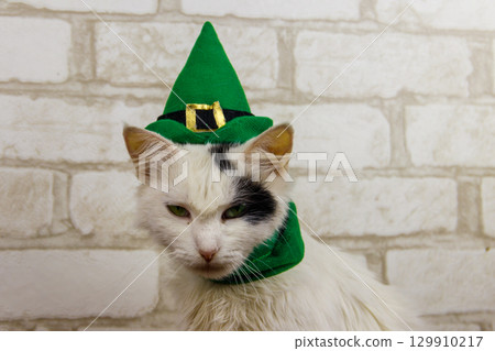 Portrait of beautiful cat wearing a green leprechaun hat. St. Patrick's Day concept Portrait of beautiful cat wearing a green leprechaun hat. St. Patrick's Day concept 129910217