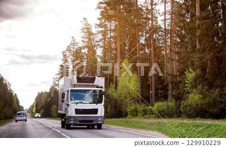 Truckers transport cargo on trucks in summer against the backdrop of forest and nature. Logistics company concept. GPS monitoring, transport company as a business. Copy space for text 129910229