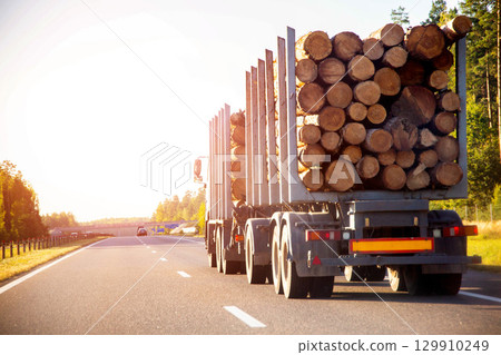A logging truck with a semi-trailer transports forest logs along a country road in summer against the backdrop of sunset, industry. Copy space for text 129910249