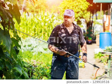 Portrait of an elderly caucasian man with a telescopic sprayer rod at his dacha for chemical treatment. Copy space for text, industry 129910516