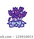 Color illustration of purple cyclamen 129910653