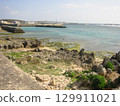 Coastal scenery of Okinoerabu Island – Rocky shores and emerald green sea 129911021