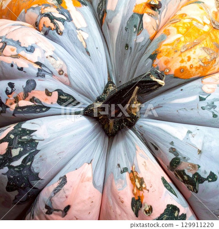 Close up of a Decorative Pumpkin with Mottled Blue and Orange Skin from Above Close up of a Decorative Pumpkin with Mottled Blue and Orange Skin from Above 129911220