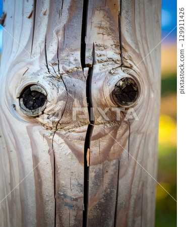 Abstract Wood Grain Texture with Knots in Neutral Tones Close Up Outdoor 129911426