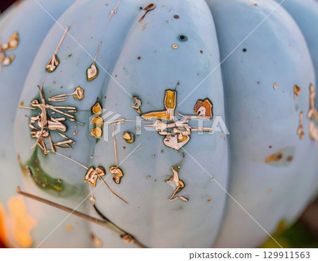 Macro Shot of a Blue Squash Showing Surface Imperfections and Autumnal Texture 129911563