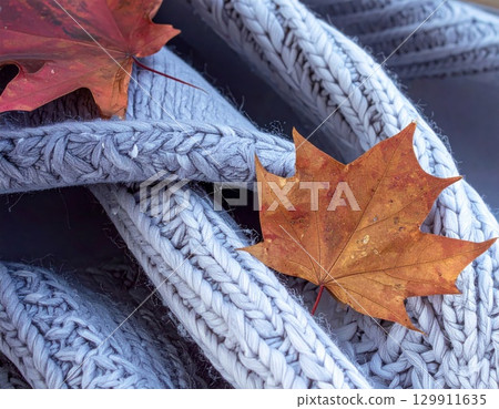 Two Fallen Maple Leaves on a Soft Gray Knitted Scarf a Cozy Autumn Still Life 129911635