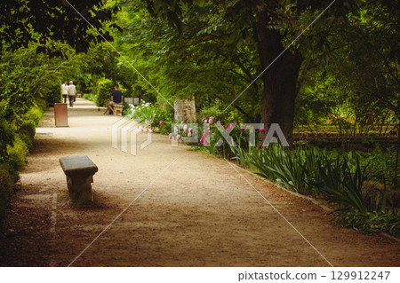 A serene pathway in a lush park, perfect for a leisurely stroll on a sunny day. A scenic park pathway winding through lush greenery, with a bench and people enjoying a tranquil day outdoors. A garden. A serene pathway in a lush park, perfect for a leisurely stroll on a sunny day. A scenic park pathway winding through lush greenery, with a bench and people enjoying a tranquil day outdoors. A garden. 129912247