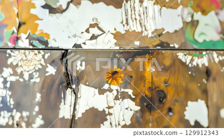 Close Up of Weathered Wood Surface with Peeling Paint and Distressed Texture 129912343
