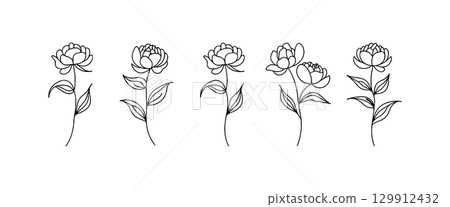 Elegant line art of flowers arranged in a row, showcasing natural beauty and simplicity in design 129912432