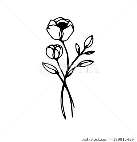 Elegant line art design featuring blooming roses and delicate leaves for modern decor inspiration 129912459