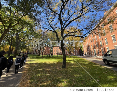 Harvard University's beautiful campus Harvard University's beautiful campus 129912728