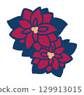 Red poinsettia multiple color illustration 129913015