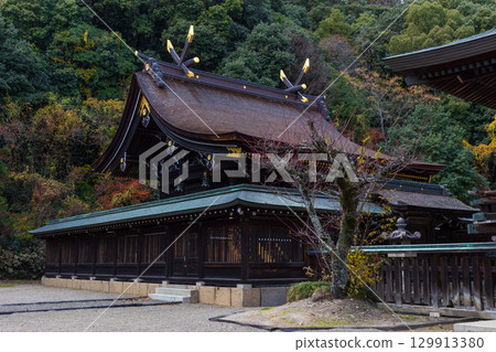 岡山縣岡山市的冬天，吉備津彥神社正殿 129913380