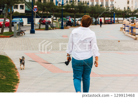 A woman walks her dog on a leash on a city street, enjoying a leisurely stroll in urban environment. A pet owner walks a small doggy along a paved walkway, enjoying a day out. Human travel with a pet. 129913468