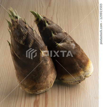 鮮竹筍 鮮竹筍 129913503