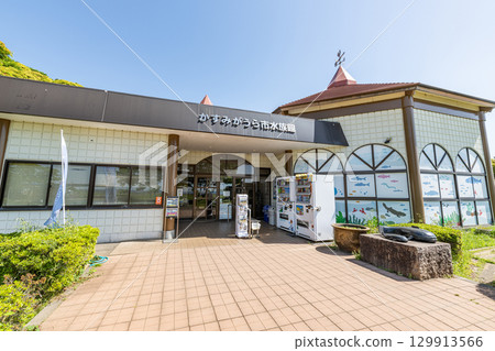 Kasumigaura City Aquarium, a facility exhibiting creatures that live in Lake Kasumigaura, Kasumigaura City, Ibaraki Prefecture 129913566
