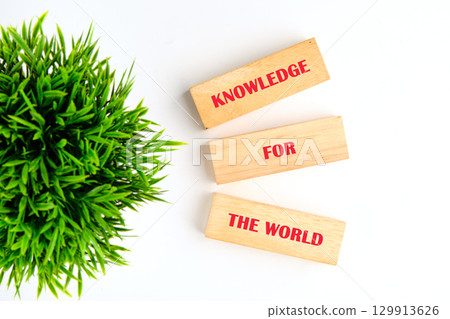 Concepts of business organizations and industries. KNOWLEDGE FOR THE WORLD made of wooden blocks on white background with green plant, top view Concepts of business organizations and industries. KNOWLEDGE FOR THE WORLD made of wooden blocks on white background with green plant, top view 129913626
