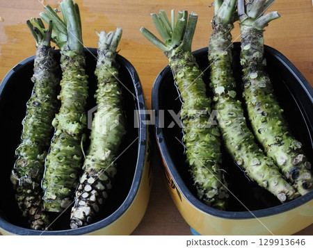 The finest wasabi 129913646