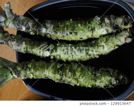 最好的芥末 129913647