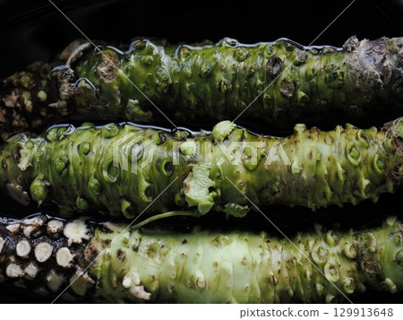 最好的芥末 129913648