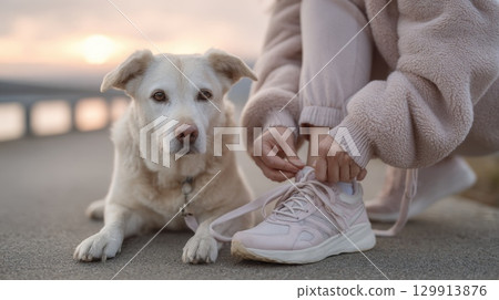 Caucasian woman tying shoe next to dog at sunset 129913876
