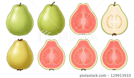 Set of guava fruit cartoon design. 129913910