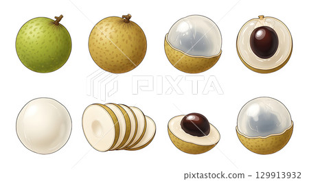 Set of longan fruit cartoon design. 129913932