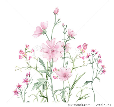 Watercolor floral composition Pink meadow flowers illustration - wildflowers bouquet set. Summer Marshmallow and Mouse Pea flowers. Greetings, wallpapers, fashion, wrapping. Hand drawn illustration. Watercolor floral composition Pink meadow flowers illustration - wildflowers bouquet set. Summer Marshmallow and Mouse Pea flowers. Greetings, wallpapers, fashion, wrapping. Hand drawn illustration. 129913964