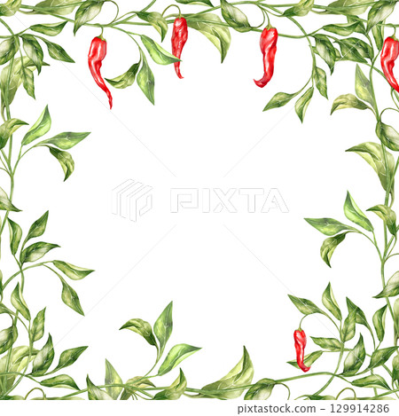 Hand-drawn illustration of a frame with red chili peppers, green leaves, and winding stems Hand-drawn illustration of a frame with red chili peppers, green leaves, and winding stems 129914286