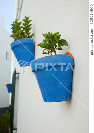Traditional Andalusian street with blue flower pots and whitewashed walls in Conil de la Frontera Traditional Andalusian street with blue flower pots and whitewashed walls in Conil de la Frontera 129914600