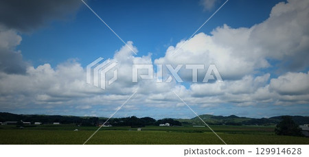 Landscape with rice fields Landscape with rice fields 129914628