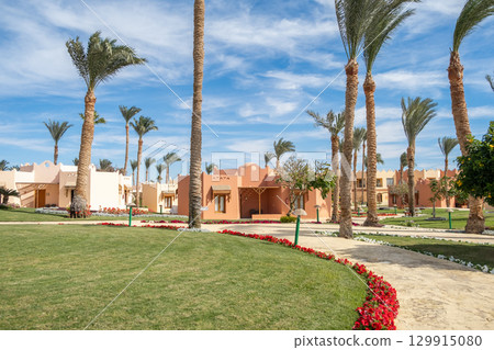 Colorful resort landscaping with palm trees in Egypt showcasing vibrant flowers and sunny weather Colorful resort landscaping with palm trees in Egypt showcasing vibrant flowers and sunny weather 129915080