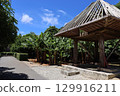 Okinawa World's Traditional Stacked Warehouses and Banana Plantations – Tropical Culture and Blue Sky Scenery 129916211