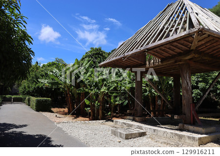 沖繩世界傳統堆疊倉庫和香蕉種植園－熱帶文化和藍天風景 129916211
