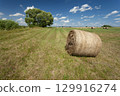Hay bale in a meadow with a tree, summer countryside view 129916274