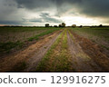 Dark storm clouds over a dirt road and farmland 129916275