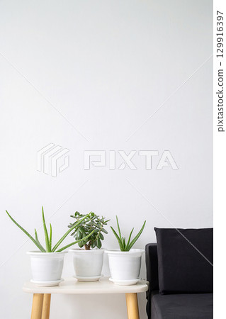 Three green potted plants on white table next to black sofa. 129916397