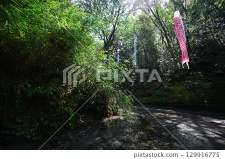 Oidemizu spring water flows through a highly transparent river 129916775