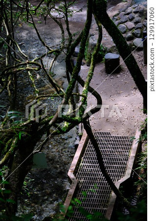 從上方俯瞰大出水泉 129917060