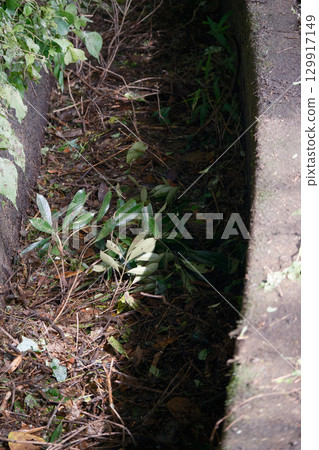 排水溝堵塞 排水溝堵塞 129917149