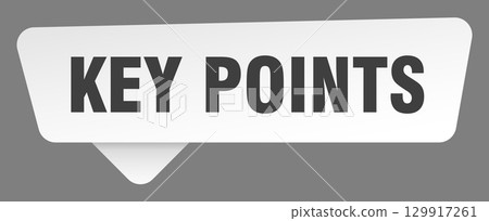 key points sign. key points white sticker isolated on gray background 129917261