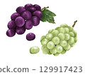 Delicious grapes hand-drawn illustration in watercolor style 129917423