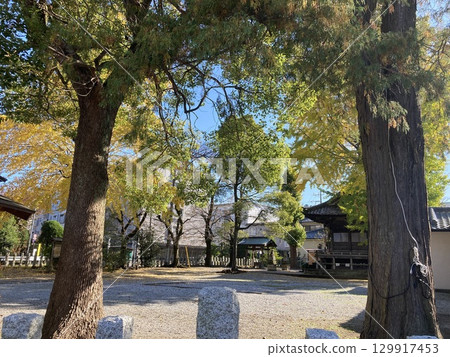 Yasaka Shrine in autumn colors 129917453