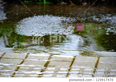 大雨地面 129917478