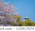 大阪城、櫻花和藍天 129917679