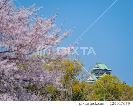 大阪城、櫻花和藍天 129917679